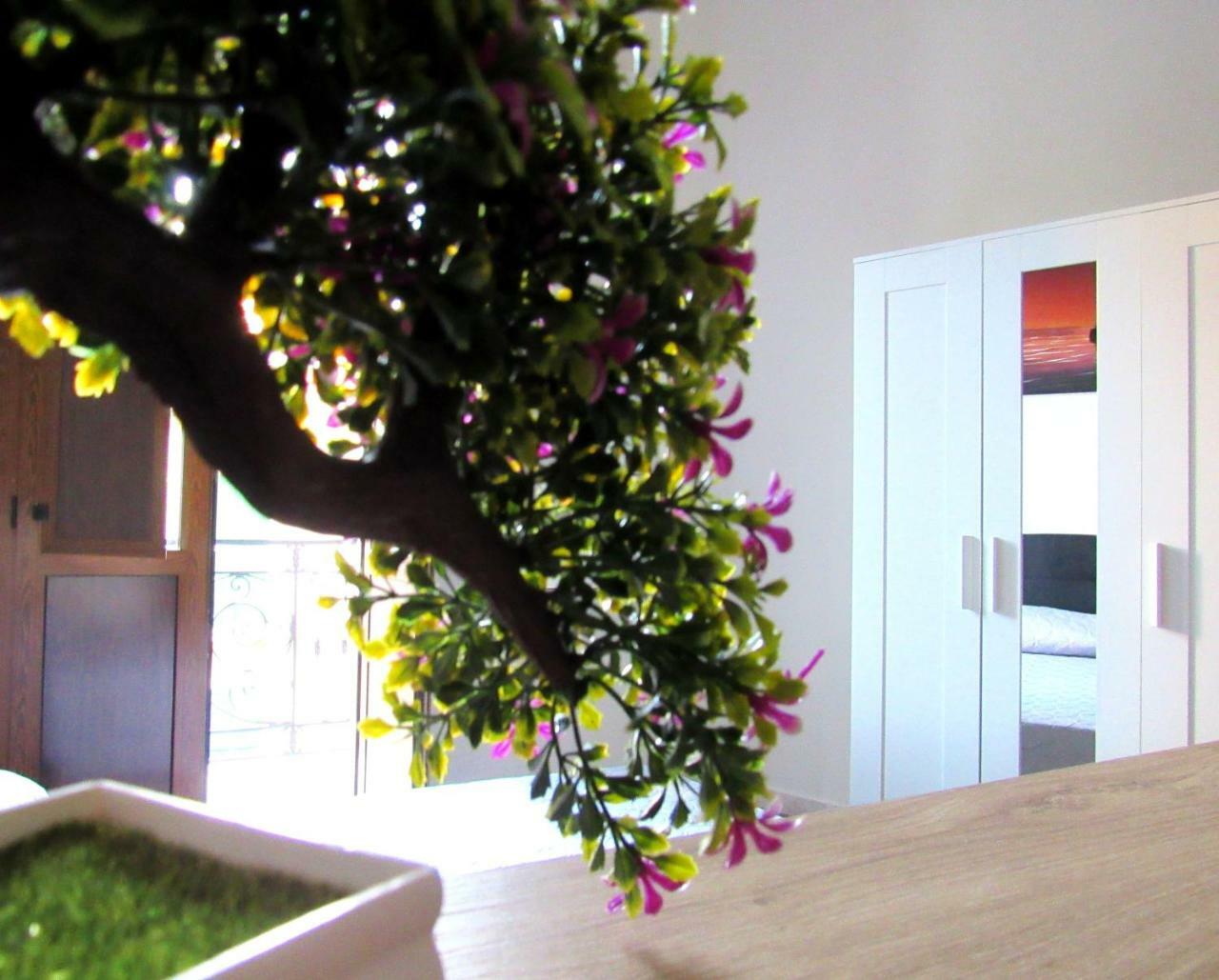 Il Rifugio Di Garibaldi Bed & Breakfast Napoli